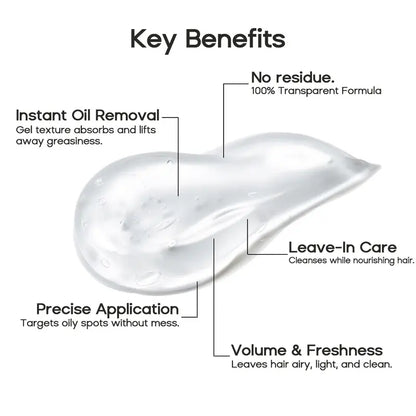 Leave-in Dry Shampoo Gel